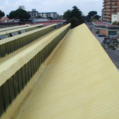 CIAPI
